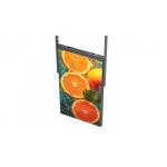 Shop 49 Inch Digital Signage Window Display High Brightness Hanging LCD Display for sale