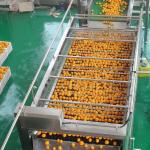 Concentrated Industrial Orange Juice Machine Fresh Citrus Juice Squeezer for sale