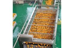 China SUS316 Industrial Fruit Juice Processing Line Automatic Citrus Jam Making Machine supplier