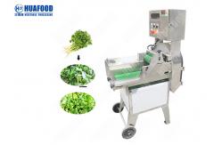 China Automatic Multifunction Vegetable Cutting Machine For Kitchen Cabbage supplier