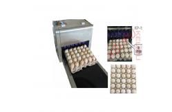China Poultry Husbandry Egg Inkjet Marking Machine With 1mm - 9mm Printing Word Height supplier