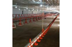 China 22x22mm Broiler Breeder Chicken Nipple Drinker System supplier