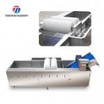 250KG Fruit and vegetable washing machine automatic sterilization washing machine fruit and vegetable processing for sale