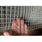 Galvanized Welded Iron Wire Mesh With Welded Weaving Type Wire Diameter 0.5mm 0.9mm for sale