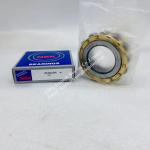 NSK Eccentric Bearing RN309M for sale