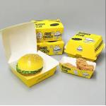 Eco-Friendly Disposable Fast Food Box with Customized Shape and Finish