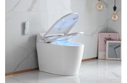 China Electronic Bidet Smart Intelligent Toilet Automatic Cleaner Seat supplier