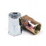 Flat Head Riveted Nuts Flat Round Head Internal And External Half Hex Rivet Nuts Hex Insert Rivet Nut for sale