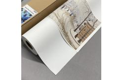China Water Based Inkjet Matte Polyester Canvas Rolls For HP Designjet Printers supplier