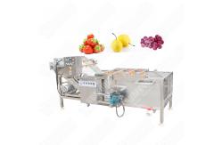 China High Capacity Fruit Brush Washing Machine Small supplier