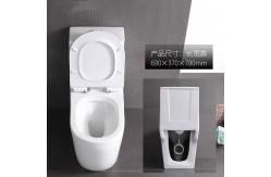 China Dual Flush Washdown Siphonic One Piece Toilet Models P Trap S Trap supplier