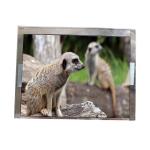 5.7 Inch Lcd Panel Display Module Resolution 640*480 AA057VF12 For Industrial for sale