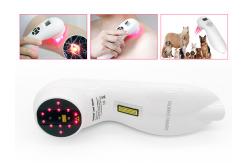 China 808nm 650nm Laser Therapy Device Pet Human Relieve Pain Handheld supplier