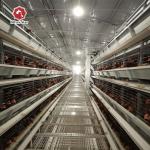 Automatic H Type Layer Chicken Cage Poultry Farming Laying Hens Cage for sale