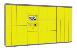 China Integrated With Api Winnsen 15 Inch Laundry Locker supplier