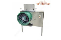 China Garlic Breaking Machine Garlic Bulb Breaking Machine Automatic Garlic Bulb Breaker Machine supplier