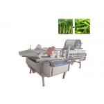 CE Approved Broccoli Lettue 1 Ton/H Vegetable Washing Machine for sale