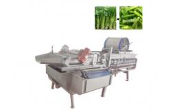 China CE Approved Broccoli Lettue 1 Ton/H Vegetable Washing Machine supplier