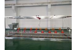 China Broiler Automatic Chicken Feeder System Using Microcontroller supplier