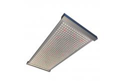 China PWM Quantum Led Grow Light supplier