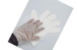 China Ivory White Compostable Food Prep Gloves ASTM D6400 For Food Handling supplier