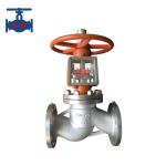 Oxygen Globe Valve for sale