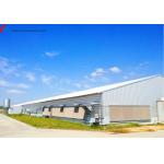 Steel Structure Poultry House for Chicken Farming - Custom Sizes Available for sale