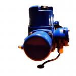 Customized Electric Valve Actuator Intelligent Explosion Proof IP67 Part Turn for sale