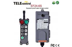 China EF24-6S Industrial Crane Remote Control Explosion Proof Radio Remote Controller supplier
