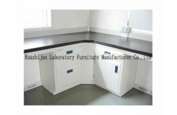 China Hight Adjustable Steel Lab Furniture , Laboratory Wall Bench With Reagent Shelf supplier