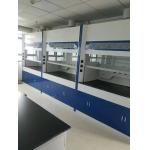 ISO9001 Antirust Science Lab Vent Hood Acid Resistant Stable for sale