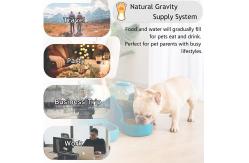 China ABS Electronic Dog Feeder Automatic M Size For Water supplier