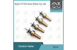 China T614 Bosch Common Rail Control Valve For Injectors 0445110522 supplier