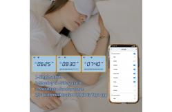 China OEM Mini WiFi Outdoor Thermometer Hygrometer For School Gym supplier