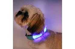 China LED Reflective Dog Collar USB Rechargeable supplier