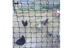 China Black Polyethylene Mesh Netting Customized Bird Net For Vegetable Garden supplier