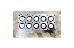 China Customised Plastic Vacuum Molding For Thermoforming Machines supplier