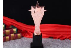 China Gold Silver Bronze Personalized Trophy Cup 330mm Height With 3D Engraved Star supplier
