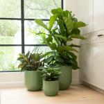 Transform Your Garden with Durable and Lightweight Fiberglass Flower Pots