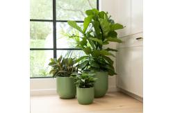 China Transform Your Garden with Durable and Lightweight Fiberglass Flower Pots supplier