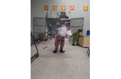 China Wearable Simulation Animatronic Dragon Costume Dinosaur Model supplier