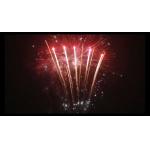 98 Shots New Year Petard Pyrotechnic Consumer Cake Fireworks Customized for sale