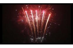China 98 Shots New Year Petard Pyrotechnic Consumer Cake Fireworks Customized supplier