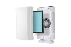 China Homefish Fast Dispatch OEM Air Scent Diffuser Anion Air Purifier CFM 99% supplier