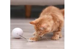 China Interactive USB Charging Electronic Cat Ball Interactive Cat Toys Balls supplier