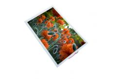 China 8.0 inch TX20D33VM2BAC LCD Display Panel Industrial supplier