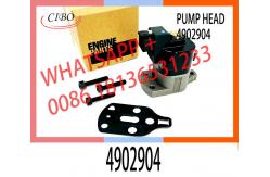 China High Quality Diesel Fuel Injection Pump DPA Head Rotor  For 4902904 supplier