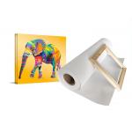 Pigment And Dye Inkjet Cotton Canvas 410gsm Matte Large Format Printing
