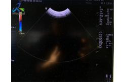 China GE 8C Ultrasound Probe Repair For Lens Replacement Original supplier