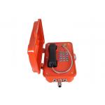 Hotline Explosion Proof Telephone Analogue / SIP Version For Coal Mine